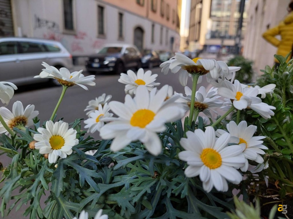 recensione-samsung-galaxy-a72