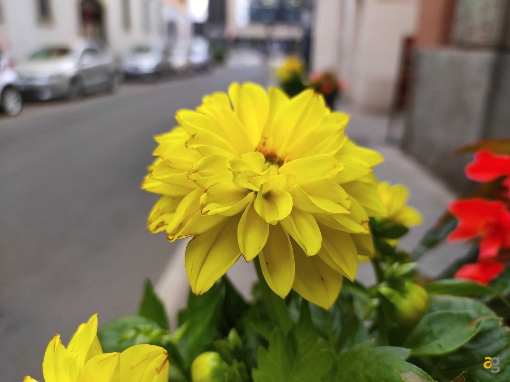 recensione-nubia-red-magic-6