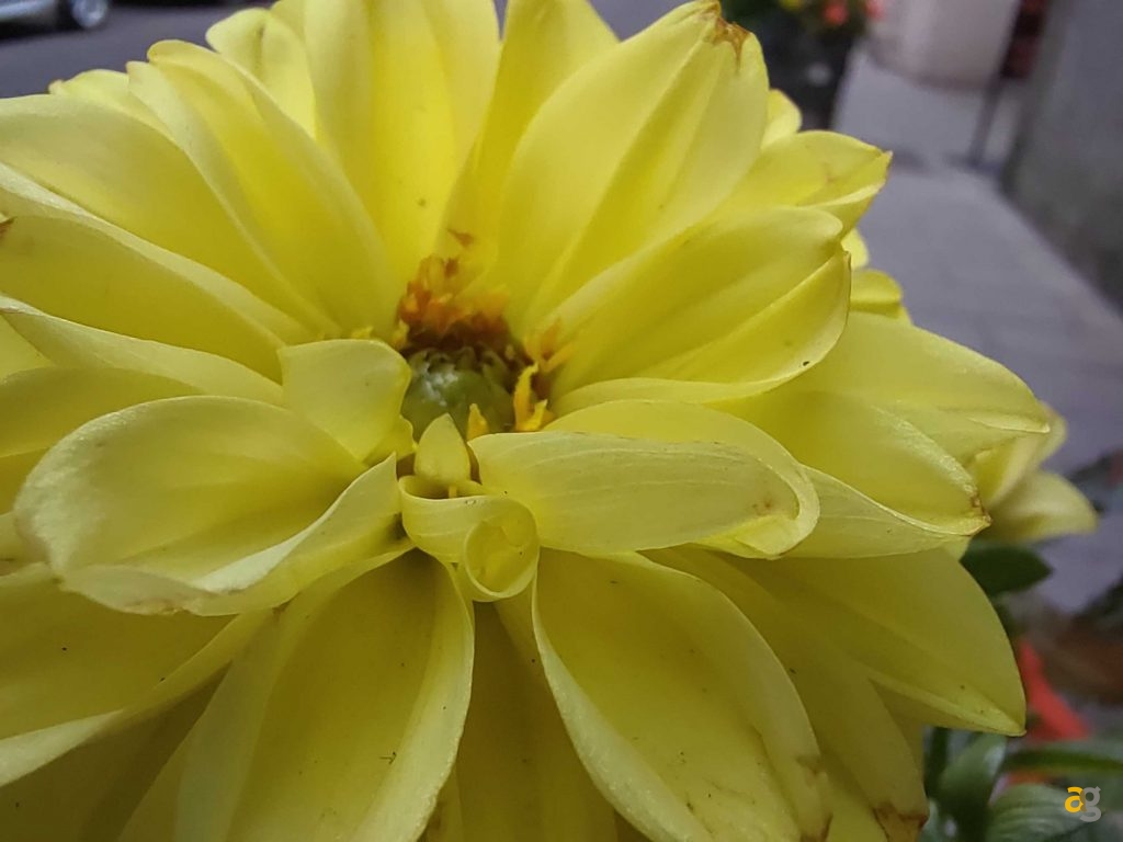 recensione-nubia-red-magic-6