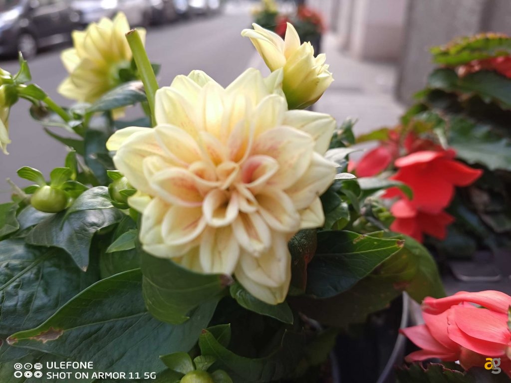 recensione-ulefone-armor-11-5g