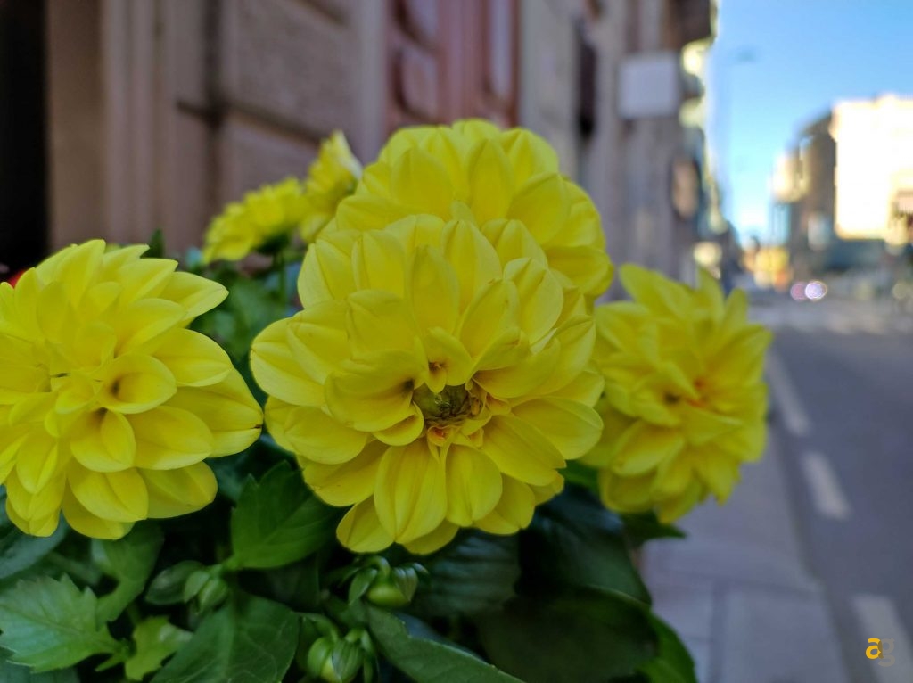 recensione-xiaomi-mi-11-lite