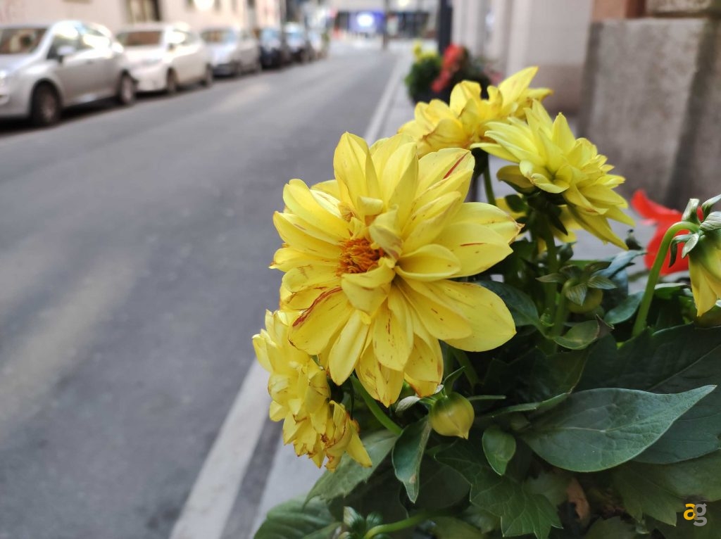 recensione-xiaomi-mi-11-lite