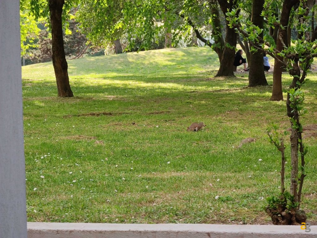 recensione-xiaomi-mi-11-ultra