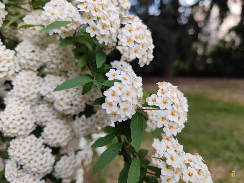 recensione-xiaomi-mi-11-ultra