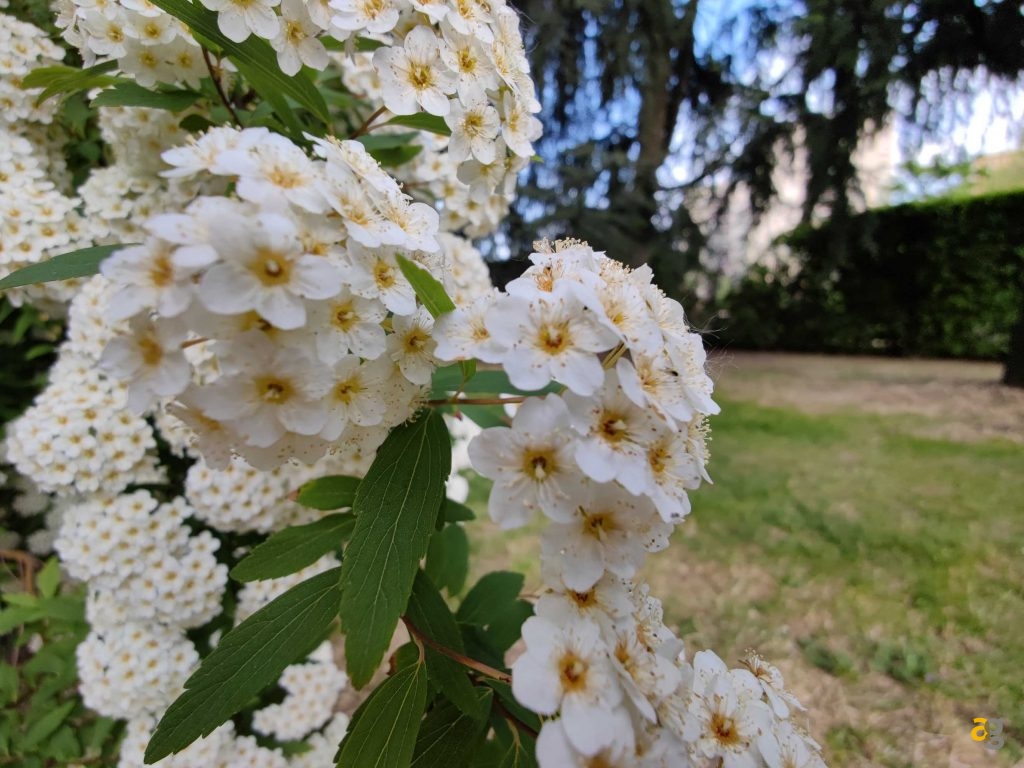 recensione-xiaomi-mi-11-ultra