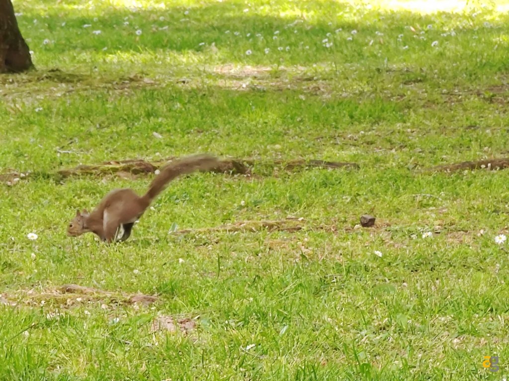 recensione-xiaomi-mi-11-ultra