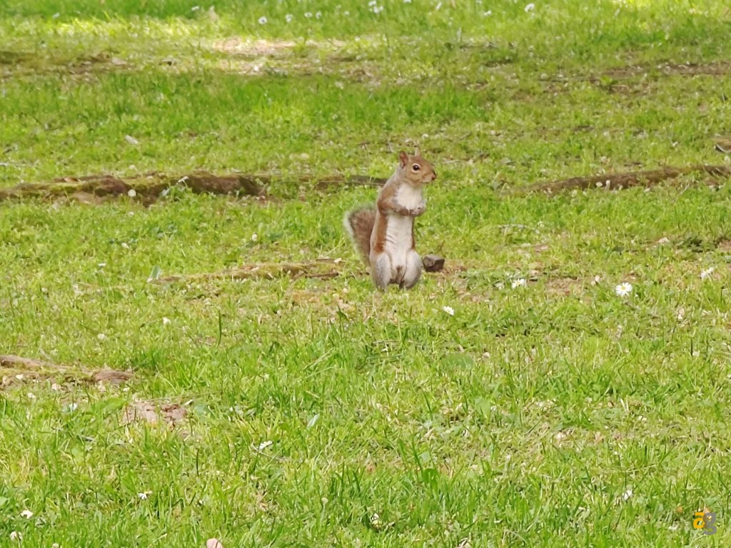 recensione-xiaomi-mi-11-ultra