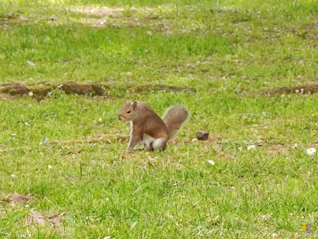 recensione-xiaomi-mi-11-ultra