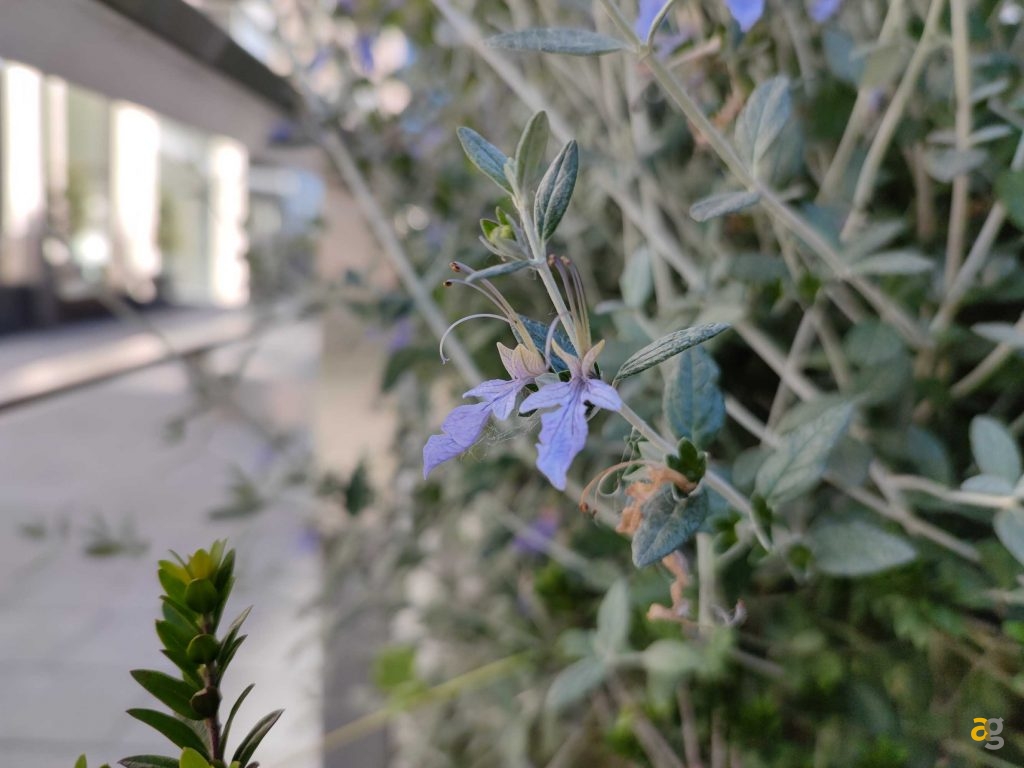 che-xiaomi-comprare-ve-lo-dico-io