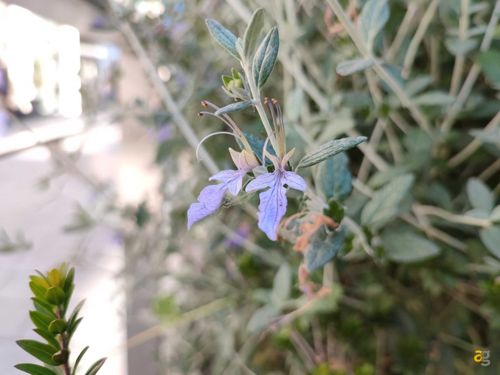 che-xiaomi-comprare-ve-lo-dico-io