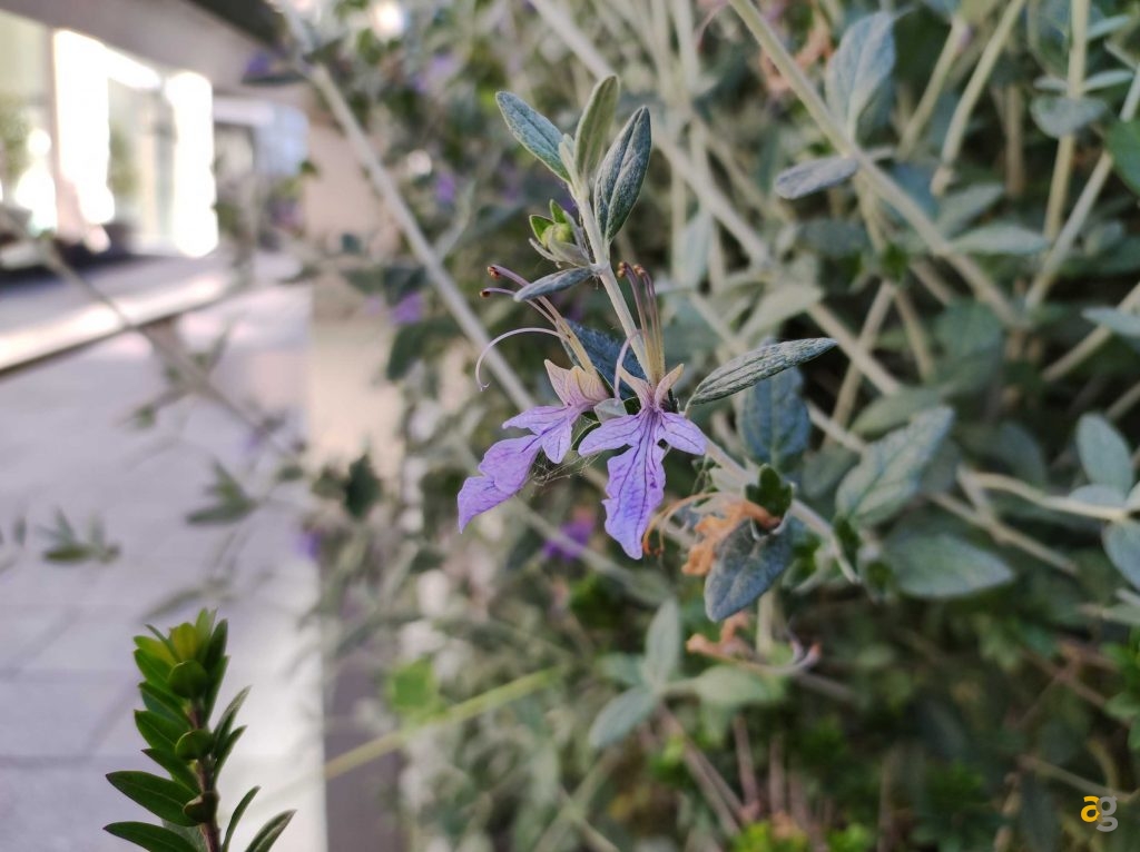 che-xiaomi-comprare-ve-lo-dico-io