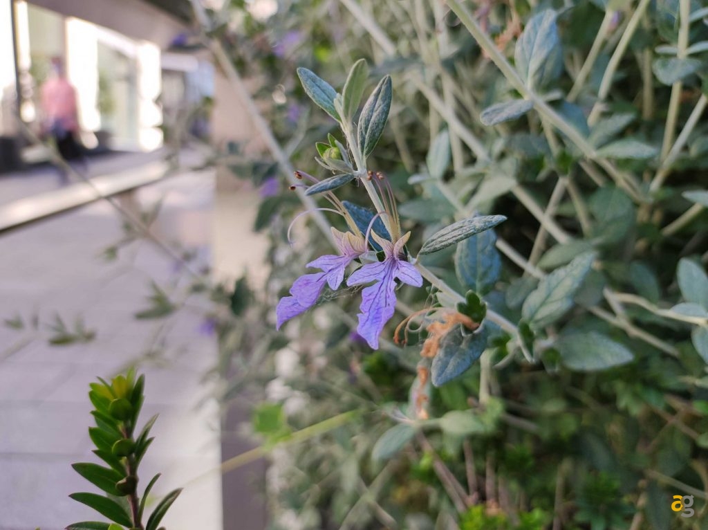 che-xiaomi-comprare-ve-lo-dico-io