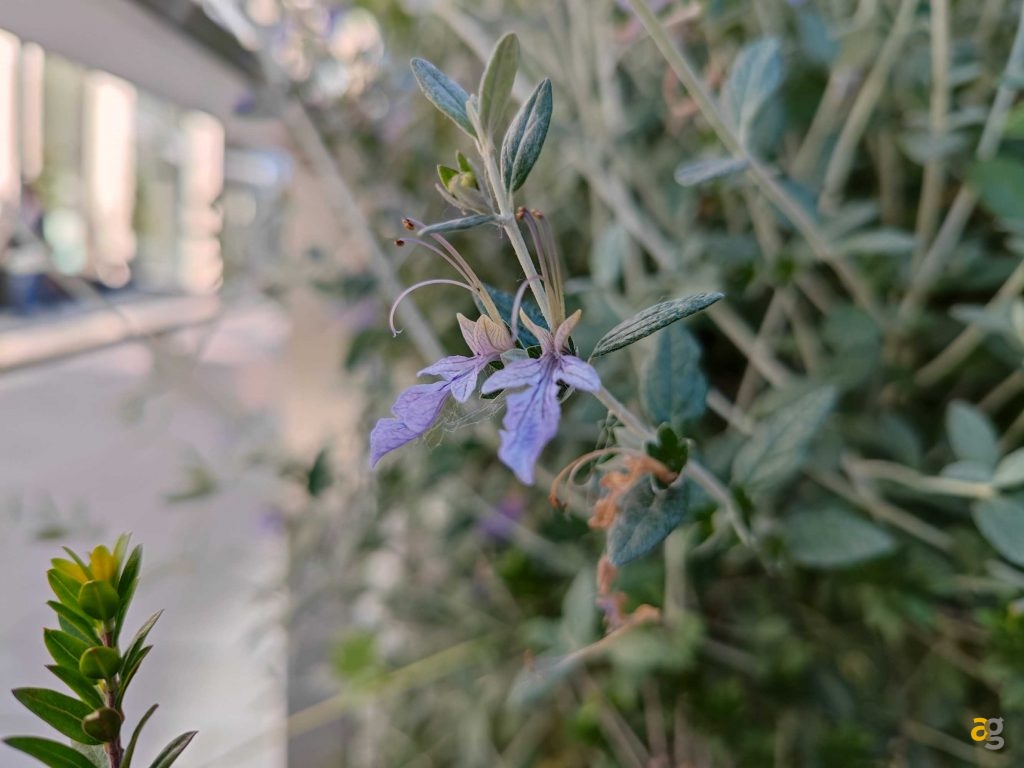 che-xiaomi-comprare-ve-lo-dico-io