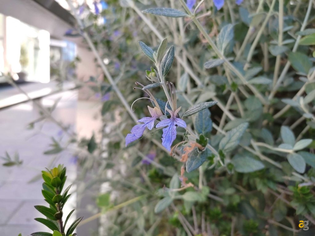 che-xiaomi-comprare-ve-lo-dico-io