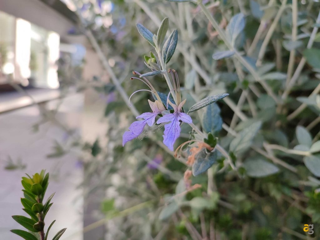 che-xiaomi-comprare-ve-lo-dico-io