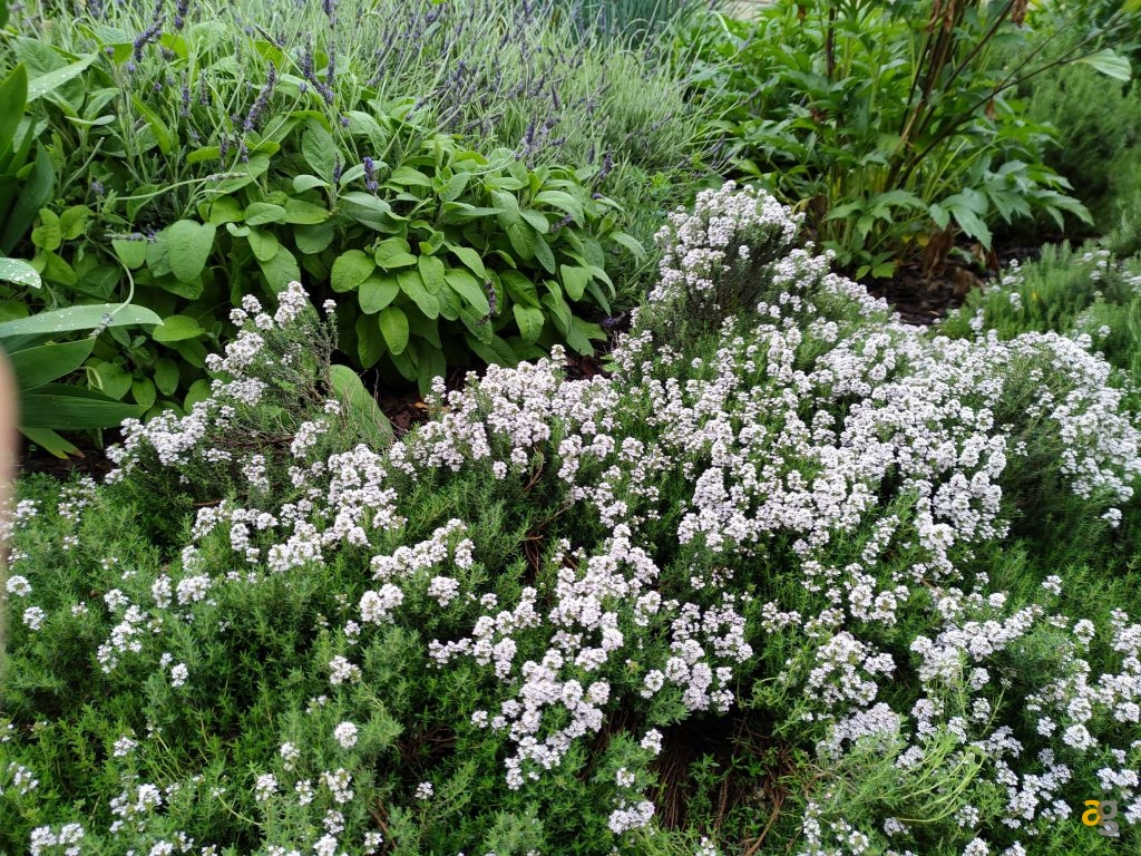 recensione-realme-gt-5g-cina