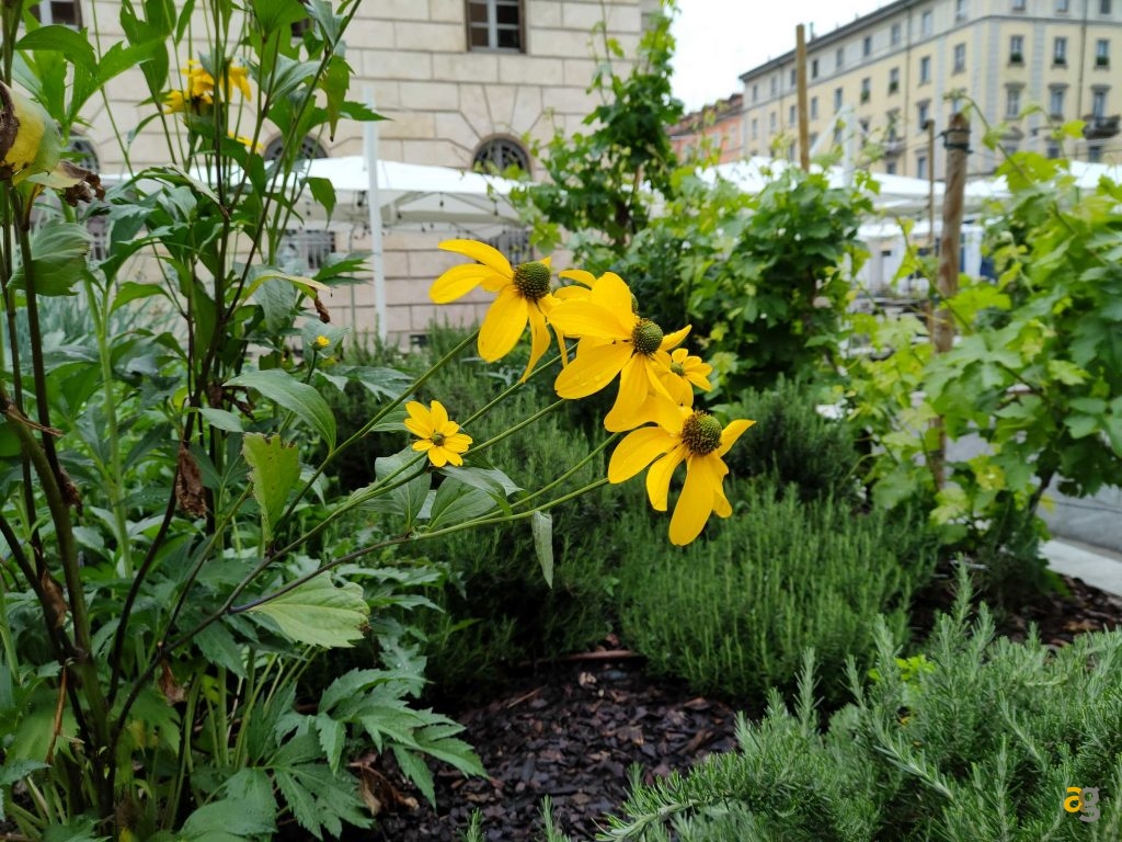 recensione-realme-gt-5g-cina