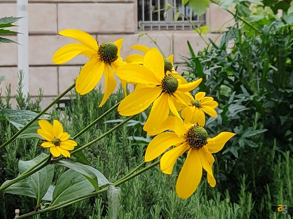 recensione-realme-gt-5g-cina