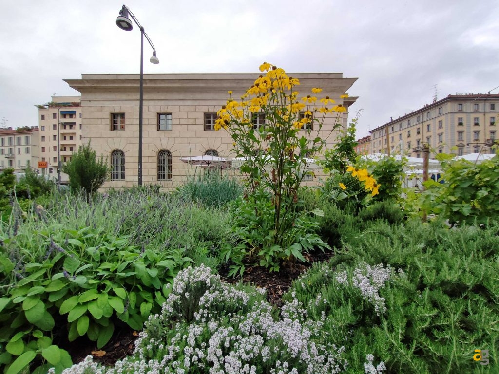 recensione-realme-gt-5g-cina