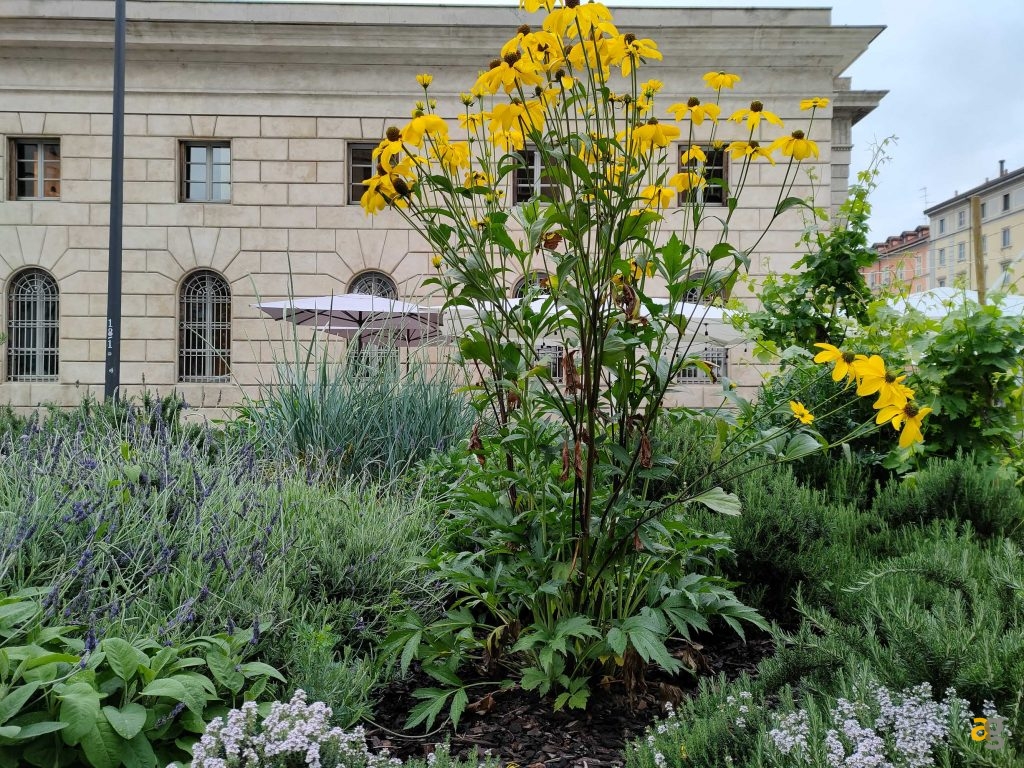 recensione-realme-gt-5g-cina