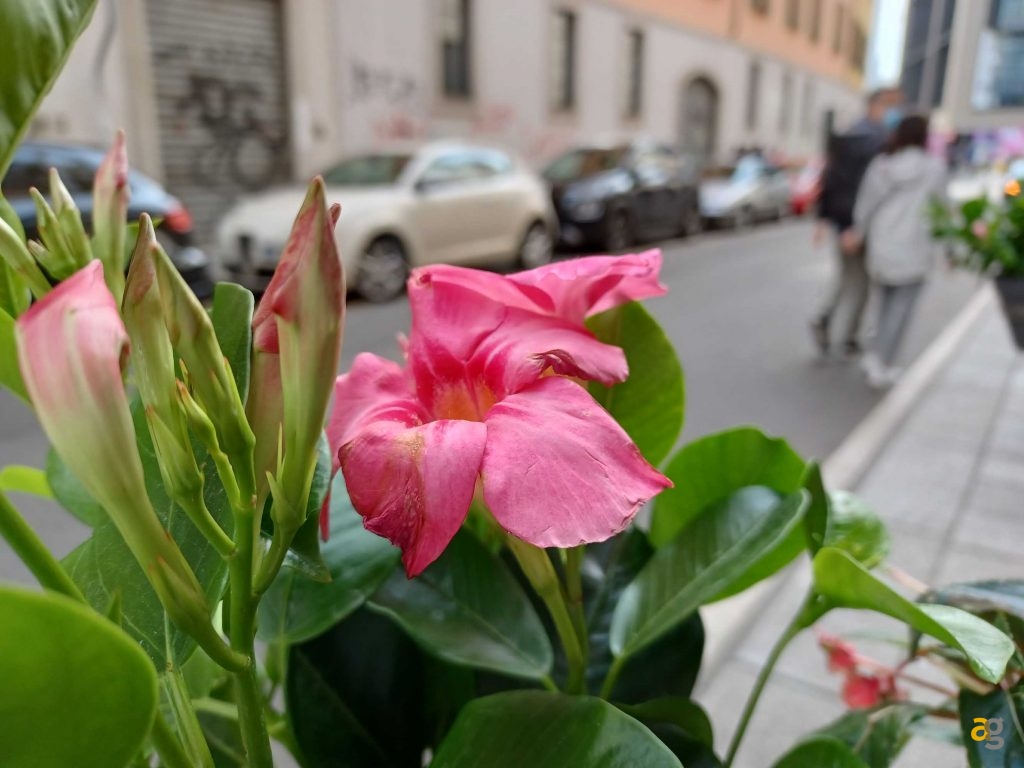 migliore-5g-low-cost