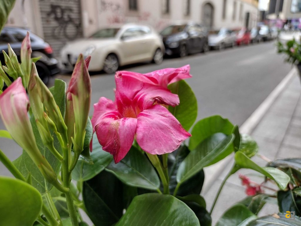 migliore-5g-low-cost