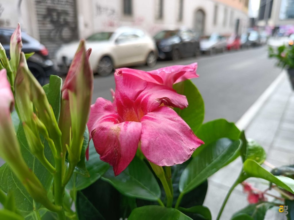 migliore-5g-low-cost