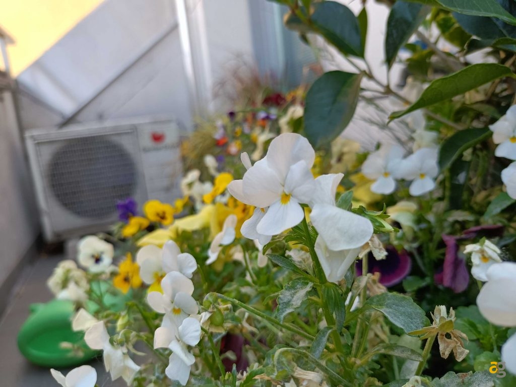 recensione-realme-8-5g