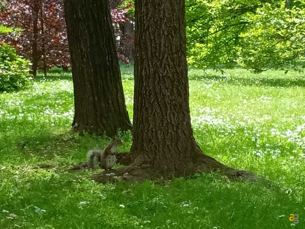 recensione-realme-8-5g