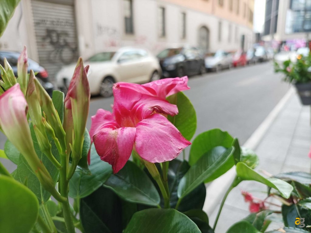 migliore-5g-low-cost