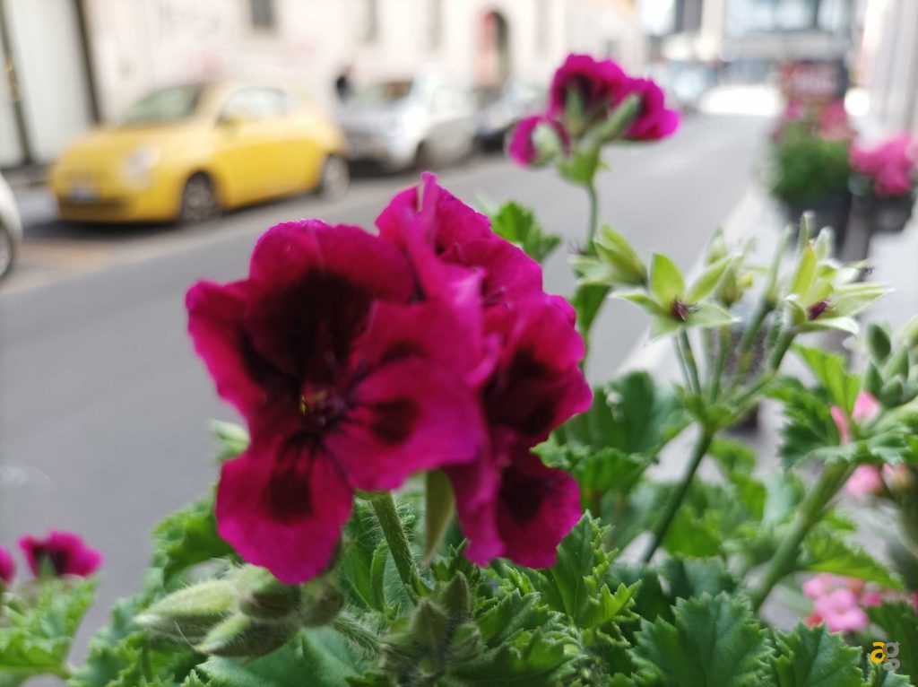 recensione-redmi-note-10-5g