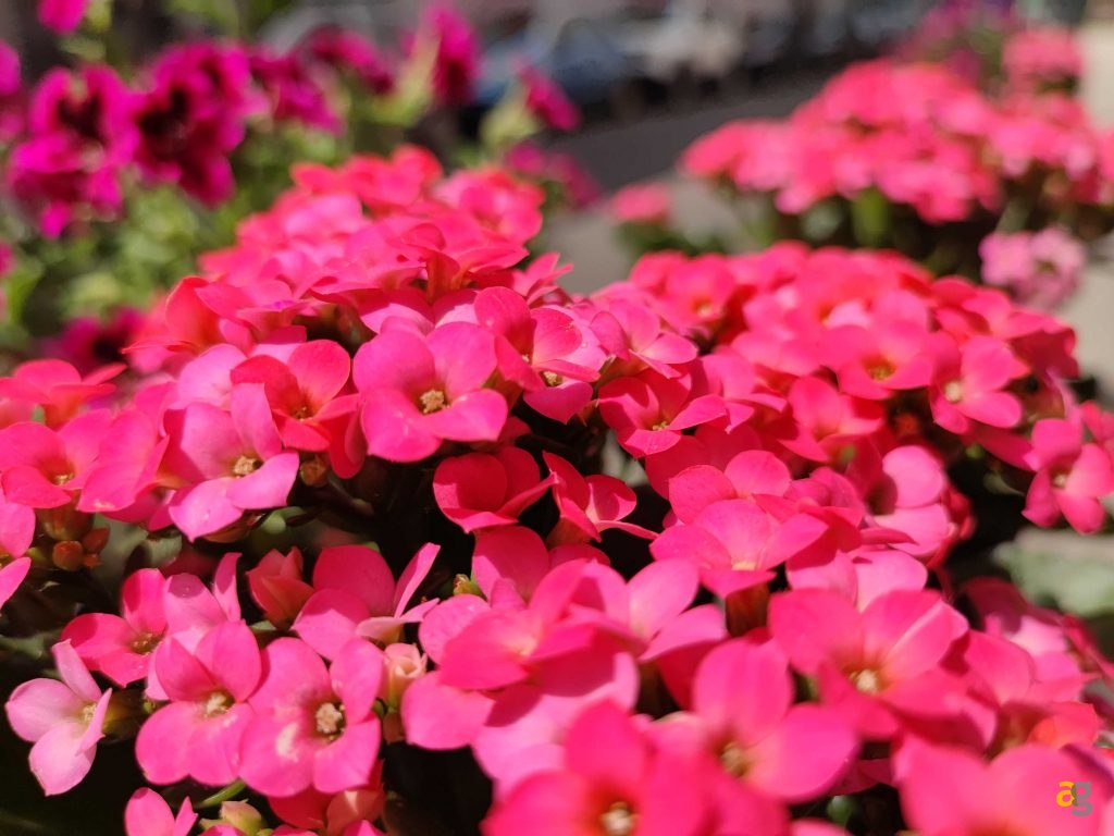 recensione-xiaomi-mi-11i