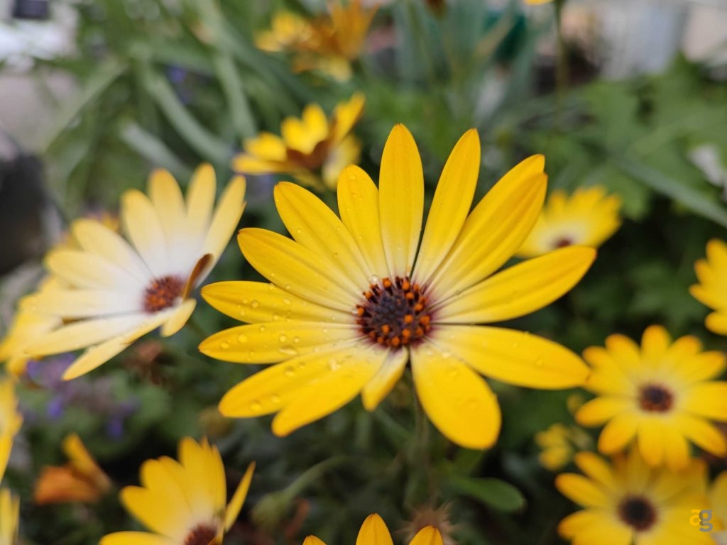 recensione-xiaomi-mi-11i