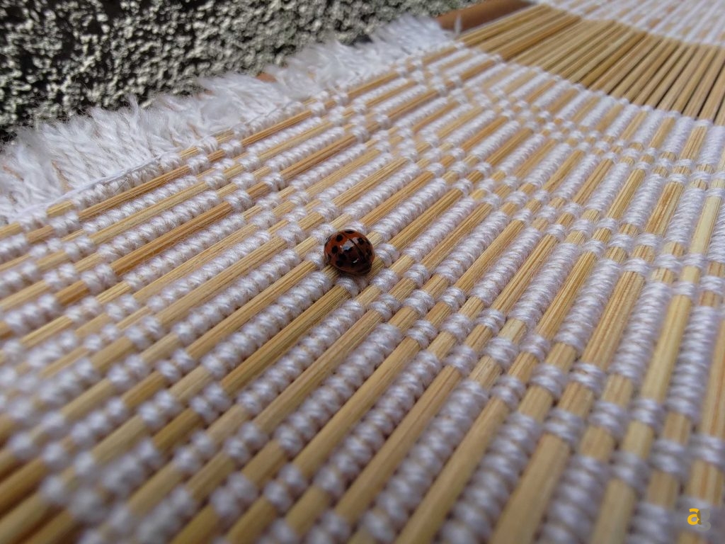 recensione-asus-zenfone-8