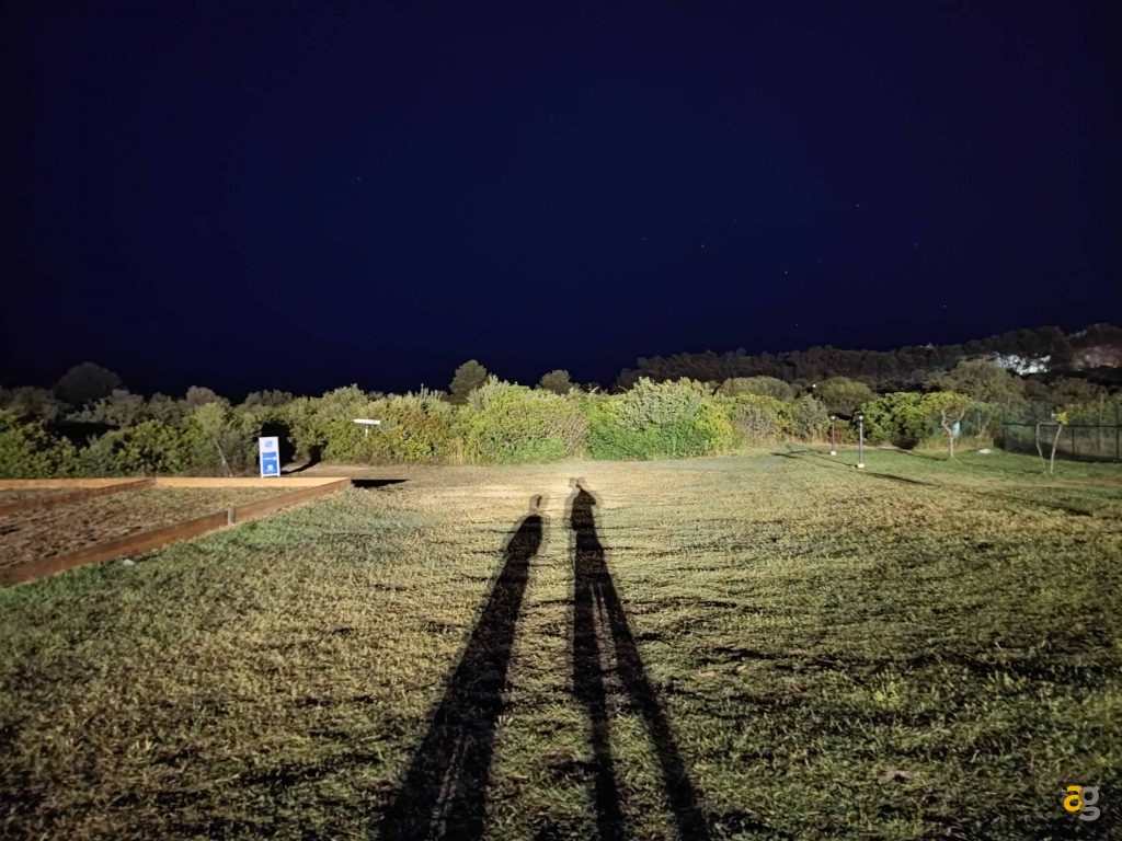 confronto-top-cameraphone