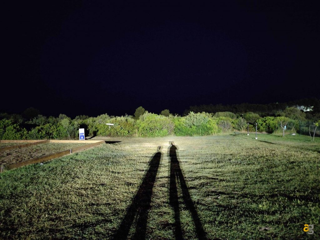 confronto-top-cameraphone