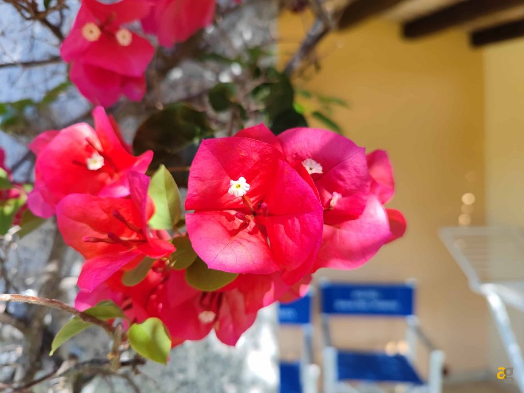 confronto-top-cameraphone