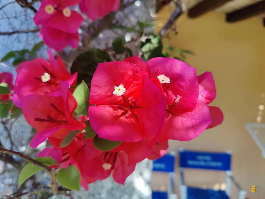 confronto-top-cameraphone