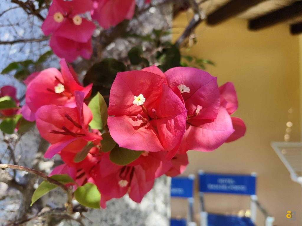 confronto-top-cameraphone