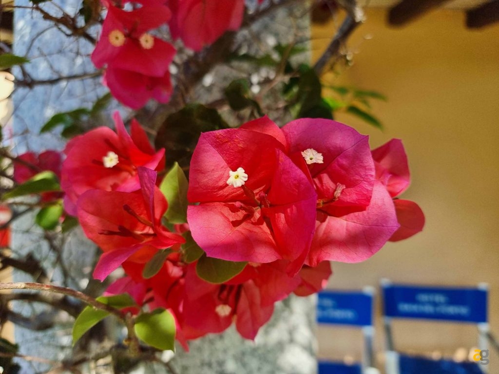 confronto-top-cameraphone