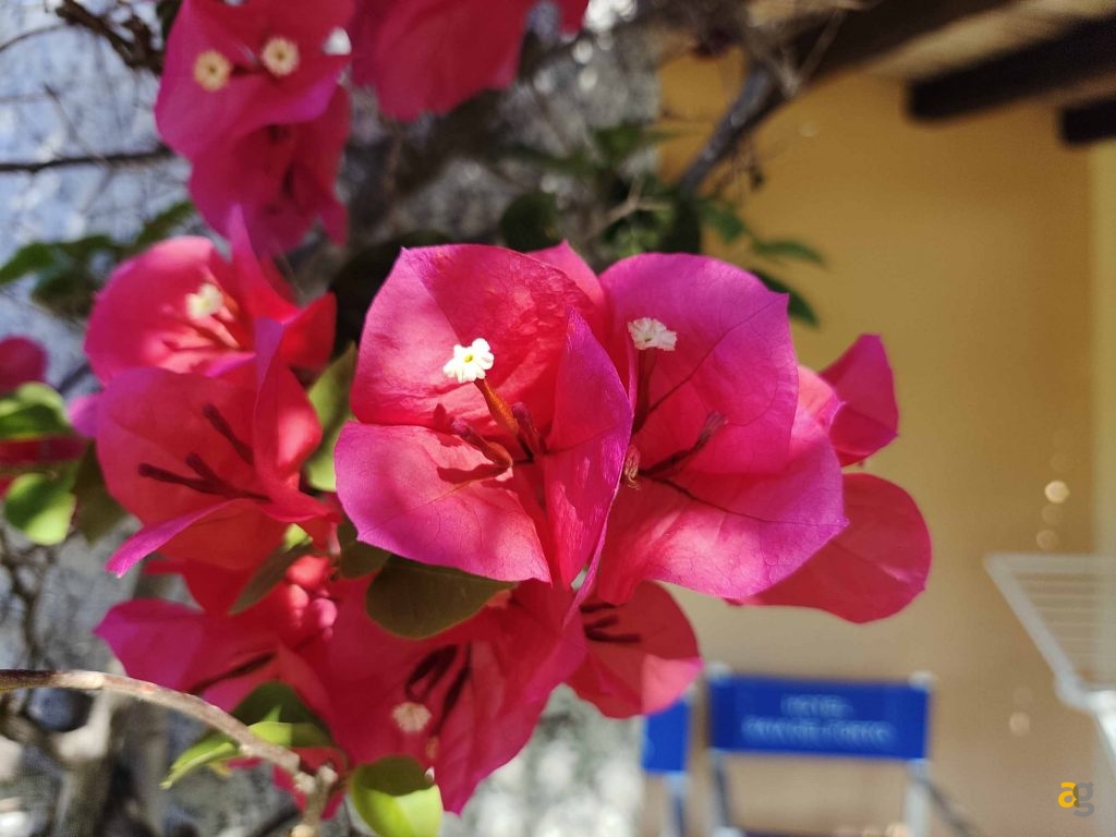 confronto-top-cameraphone