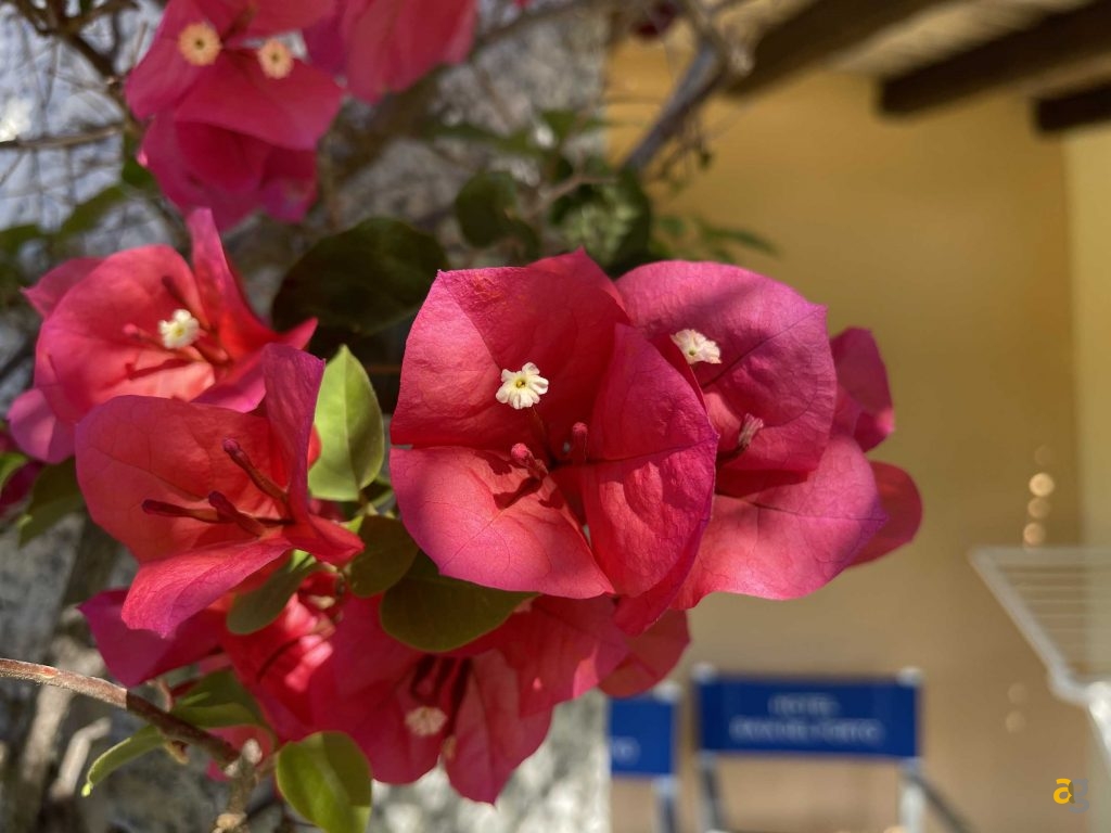 confronto-top-cameraphone