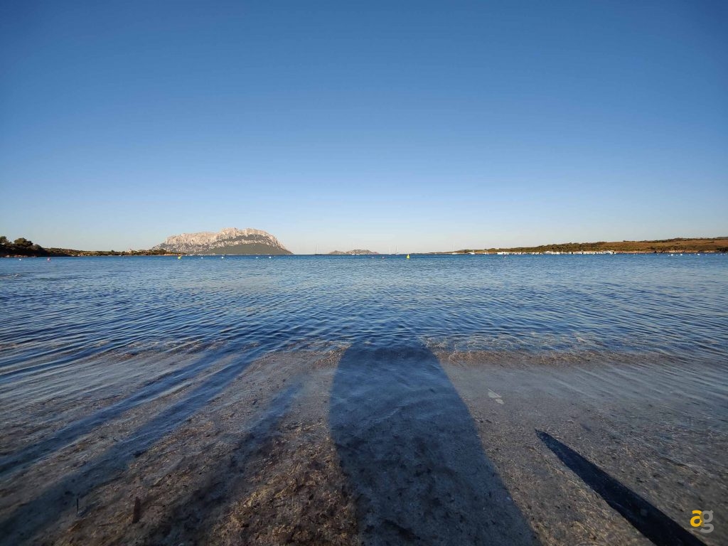 confronto-top-cameraphone