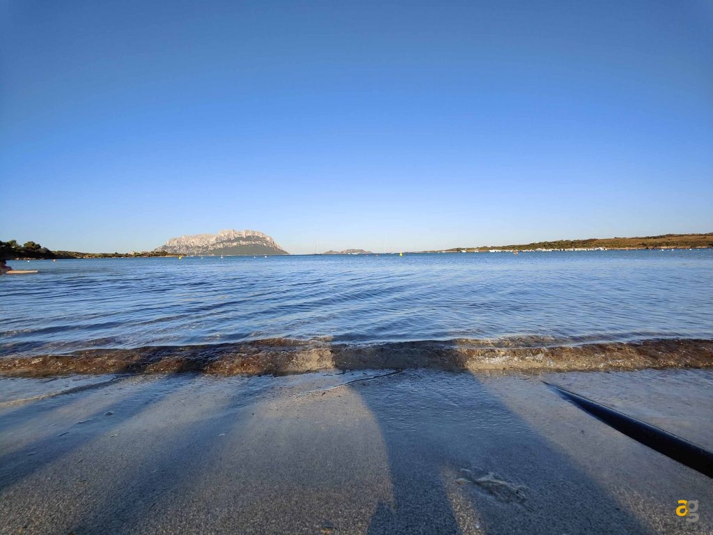 confronto-top-cameraphone