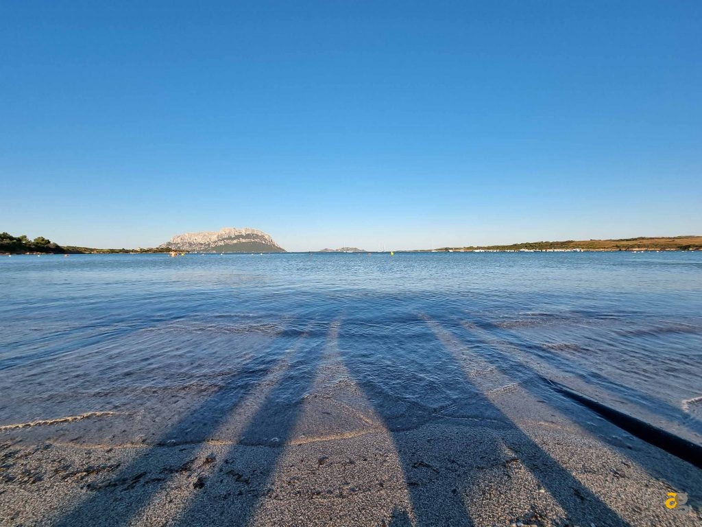 confronto-top-cameraphone