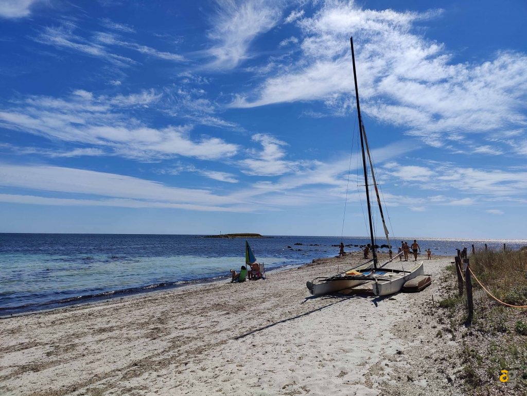 confronto-top-cameraphone