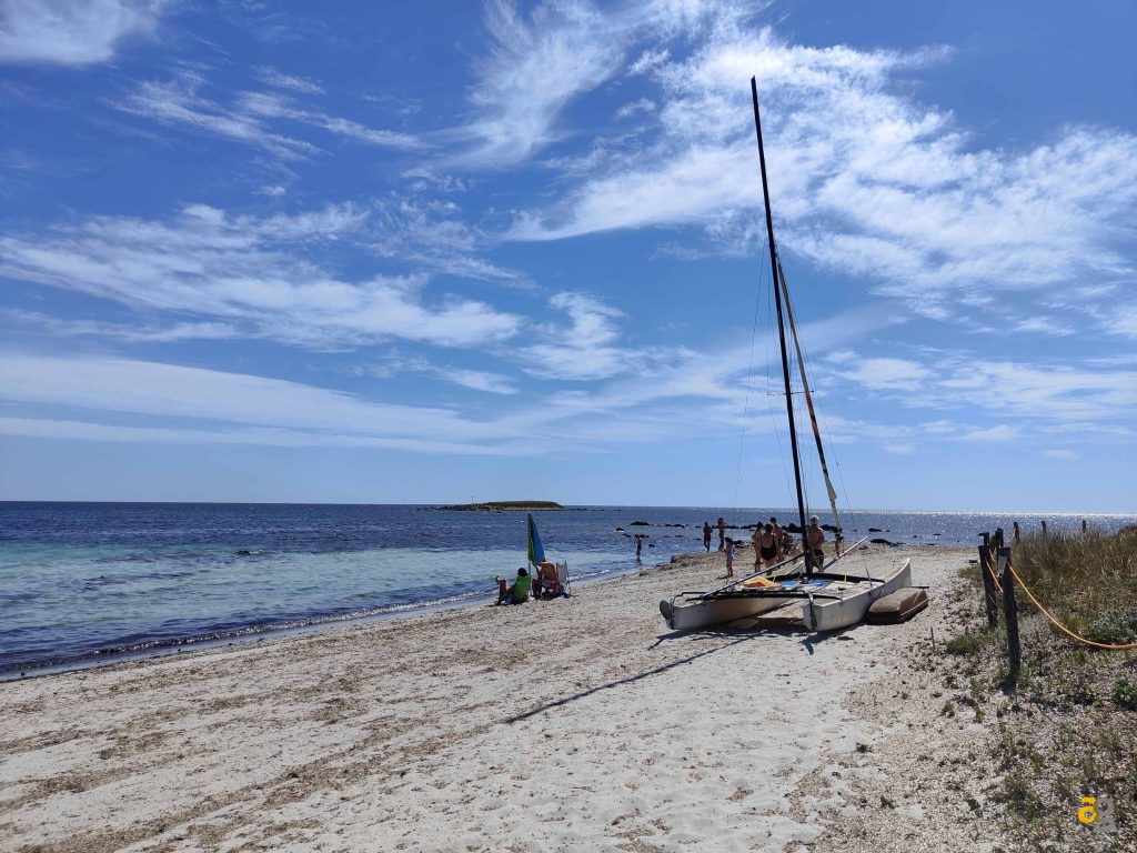 confronto-top-cameraphone