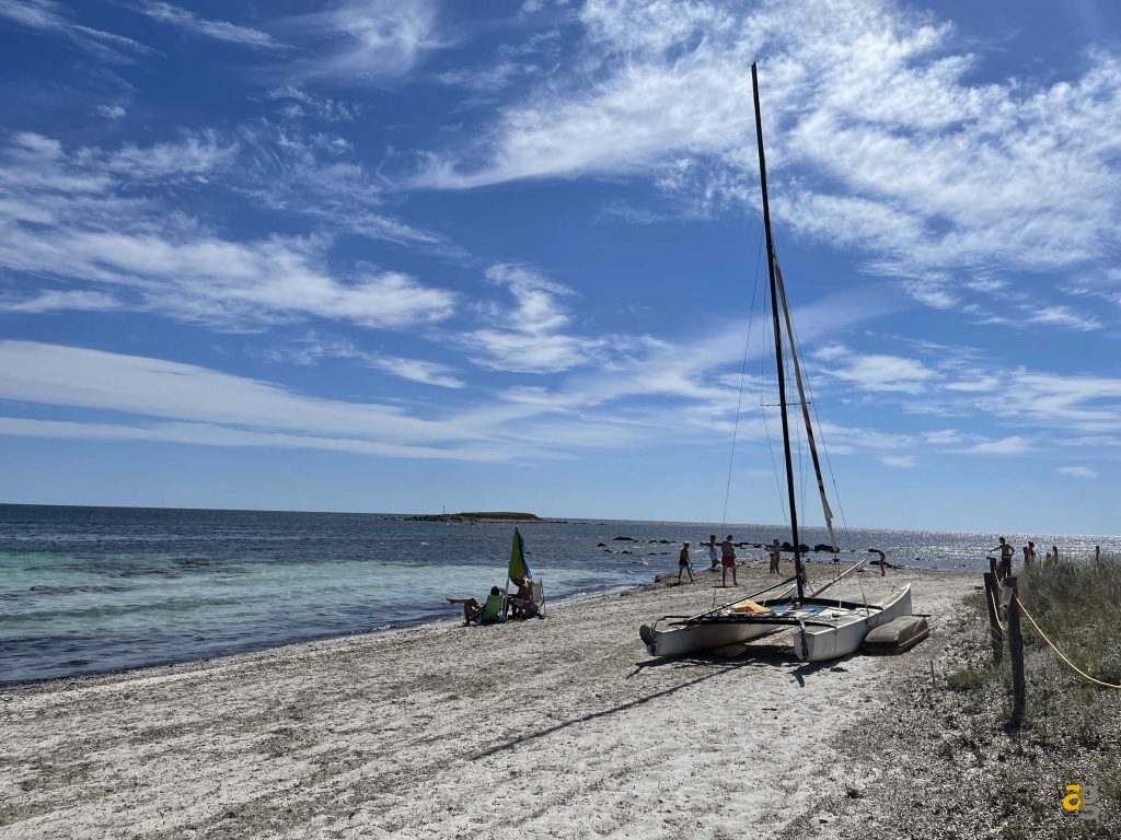 confronto-top-cameraphone