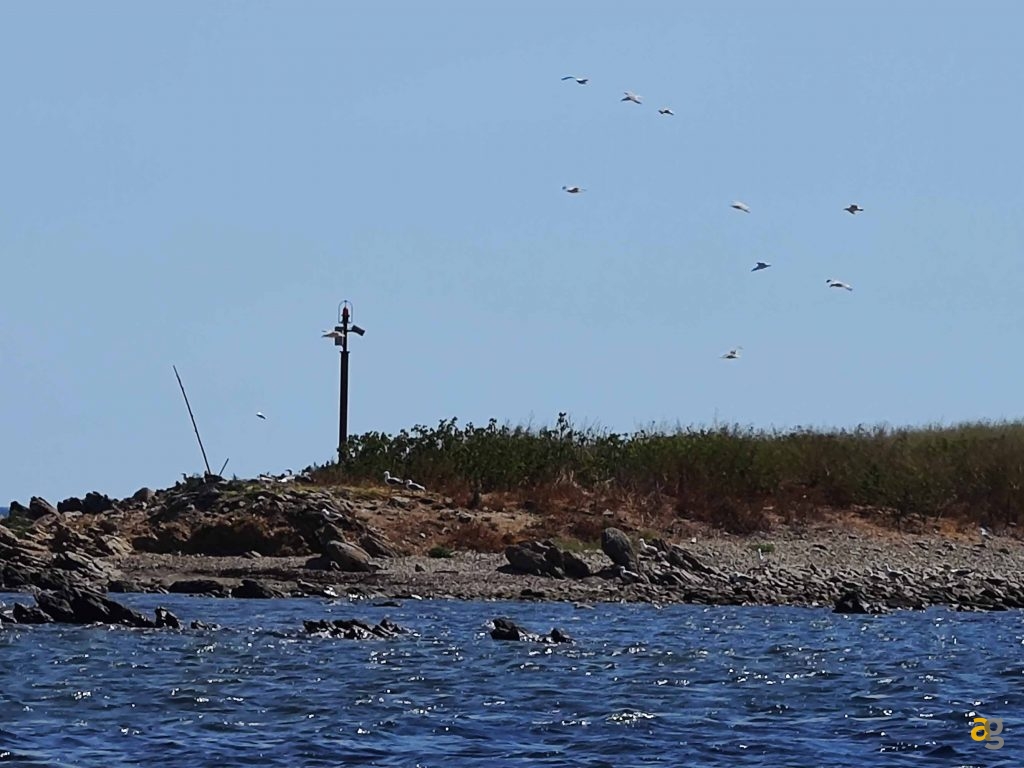 confronto-top-cameraphone