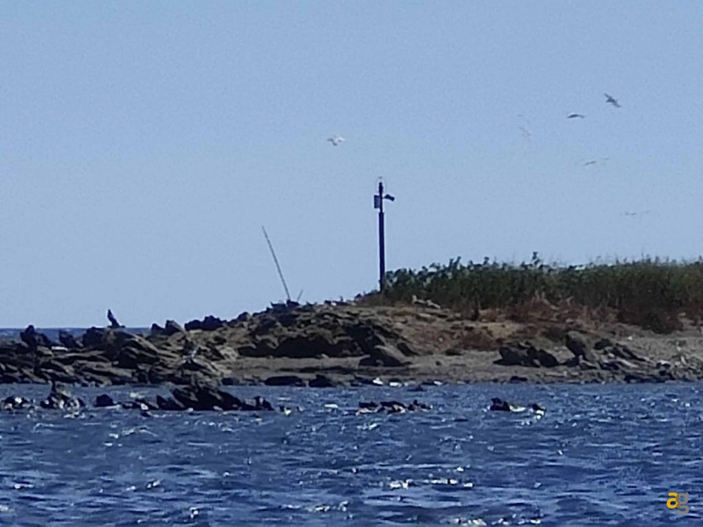 confronto-top-cameraphone